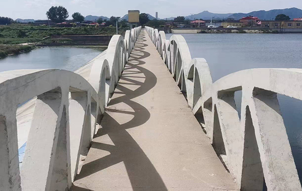 秦皇岛北戴河新区饮马河流域农村生活污水治理项目（一期）